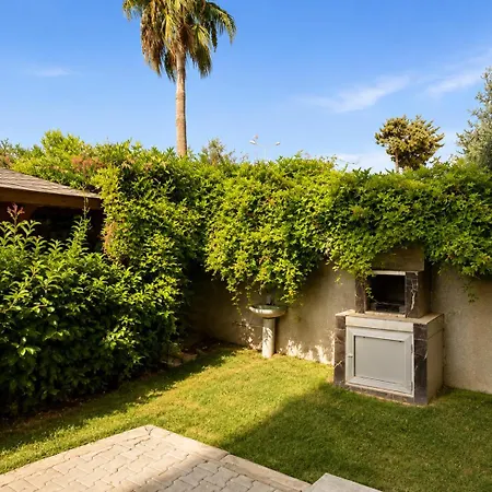 Azure Coast Daire
